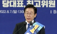 '이재명 방탄용' 공방만 남은 野 당헌 80조 논란…