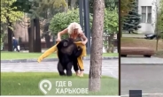 [영상]동물원 탈출한 침팬지, 사육사 설득에 자전거 타고 복귀