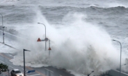Heavy rains forecast for southeast coast as Typhoon Nanmadol nears