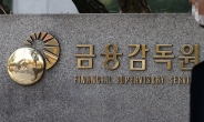 금감원, 금융시장안정국 신설…위기 대응체계 강화