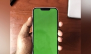 “내 폰 순식간에 ‘녹색’ 먹통 난리났다” 비싼폰 팔던 애플에 무슨 일?