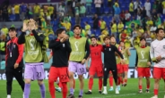 최강 브라질에 1-4 패…한국, 졌지만 아름다웠던 16강 [월드컵]