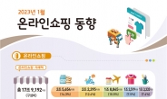 여행, 식품 구매 증가에 온라인쇼핑 전년동월대비 6.3%↑