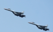 ‘드론 충돌’ 러시아 전투기, 이번엔 美전략폭격기와 대치