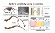 거미 다리 기능 모사 의료용 센서 개발