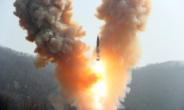 美상원 외교위 공화당 간사 “北핵위협에 한국 핵무기 재배치 고려해야”