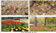 서울대공원 “봄꽃의 향연 만끽하세요”