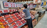 토마토 소비촉진 나선 이마트 “2팩 이상 사면 30% 할인”