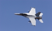 美, 호주가 운용하는 F-18 전투기 40여대 우크라에 지원 추진