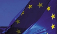 ‘EU 첫 역외보조금 조사’ 中기업, 공공입찰 참여 철회