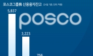 질주하는 포스코그룹株, ‘빚투’도 1조 넘겼다…포스코홀딩스 760억→5837억