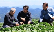 정황근 농식품부 장관, 폭염에 여름배추 수급 긴급 점검