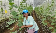 “땡큐 코리아, 온실 더 많이 지어주세요” 필리핀 농민 인터뷰