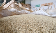 ‘가루쌀’이 뭐길래…농식품부가 유통사 상품기획자 불러모으는 이유 [언박싱]