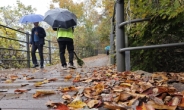 따뜻한 11월, 낮 최고 26도…전국 곳곳엔 빗방울