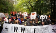 WWF, “COP28에서 화석 연료의 단계적 폐지 요구”