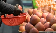 천장 뚫린 과일값…서울보다 지방이 더 비싸다고? [푸드360]
