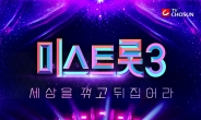 ‘미스트롯3’ 퍼포먼스협회가 하는 일은 뭘까?[서병기 연예톡톡]