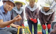 구로구, 도시양봉교육 수강생 모집…“수확한 꿀 기부”