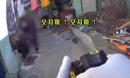 [영상] “오지마, 오지마!” 70대 주인 공격한 40kg 대형견…경찰, 테이저건 쏴 제압