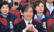 조국당 ‘비즈니스석 금지’에…김웅 “내로남불” vs 曺측 “번지수 틀렸다”