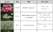 국립생물자원관, 인천광역시교육청과 자생식물 씨앗 나눔 사업 시작
