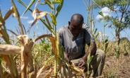 최악 ‘엘리뇨 가뭄’에 백기 든 잠비아…1조3000억 원조 요청