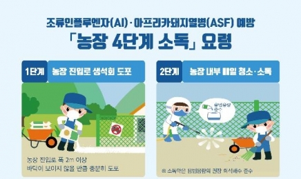 나주 오리 농장 고병원성 AI 확인…일시이동중지 명령