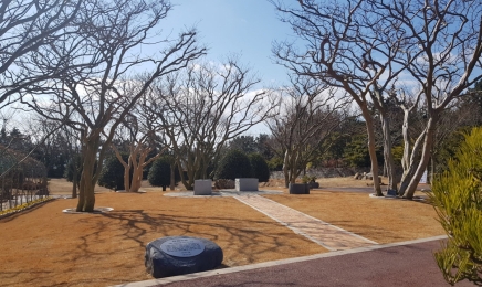 신안군,천사섬 분재공원 내‘송암 배롱나무 정원’조성