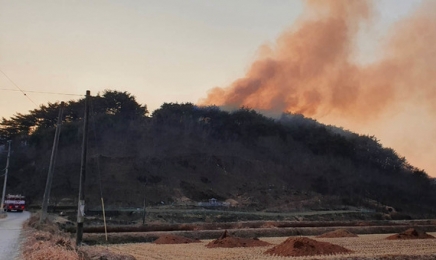 전남 순천·고흥 산불 잇따라…전남 동부 7개 시·군 건조주의보