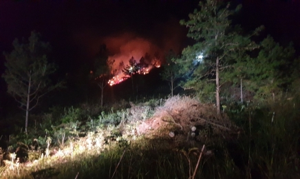 전남 해남에서 밤사이 산불…3시간 여 만에 진화