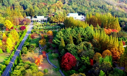 전남산림자연원,개원 100년…‘글러벌 산림과학융복합기술 살현’