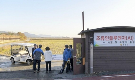 일본서 탈출한 흑두루미 1만마리 어쩌나...순천만 'AI·서식지 과밀' 비상