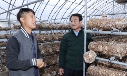 강진군수, 