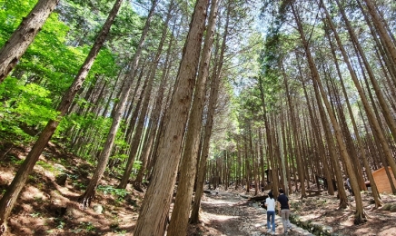 장성군,산림청 공모 전남 유일 선정