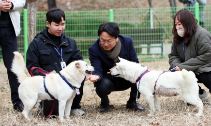 광주에 둥지튼 풍산개 ‘곰이·송강’…시민들에 재롱[종합]