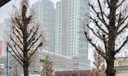 광주·전남 대설주의보…하늘길·바닷길 막혀