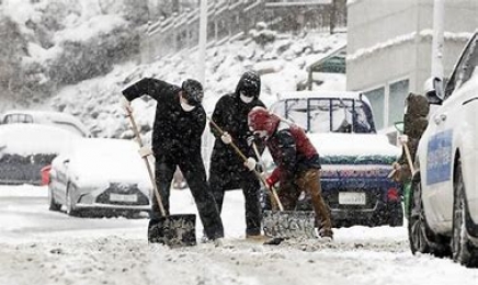 폭설로 주차위반 차량 과태료 부과 유예