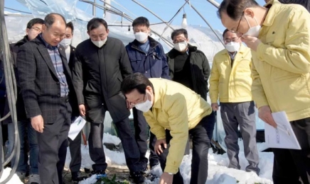 김영록 전남지사, 폭설 피해 시설 하우스 현장 둘러봐