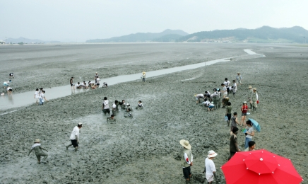 전남 올해 최대 뉴스‘국립 갯벌 세계자연유산 보전본부 유치’