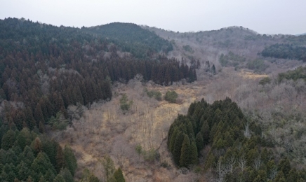 순천 '연안·하구·산지습지' 육·해·공 동시보유 첫 사례 도시