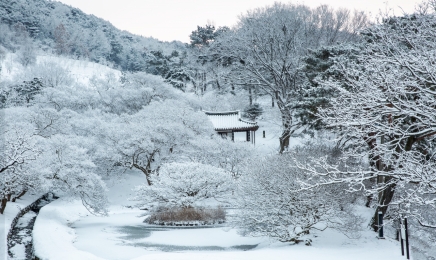 전남도,남도 역사 깃든 ‘으뜸숲’12곳 선정