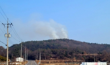 전남 고흥 야산서 불, 인명피해 없어