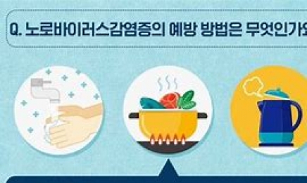 광주 노로바이러스 감염 늘어…장염 환자 66% 차지