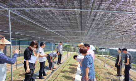 전남도,스마트 청년 농업인 1만명 육성 순항