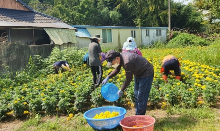 ‘돌아오는 농촌’ 나주시,귀농·귀촌인 유치 총력…단계별 맞춤 지원