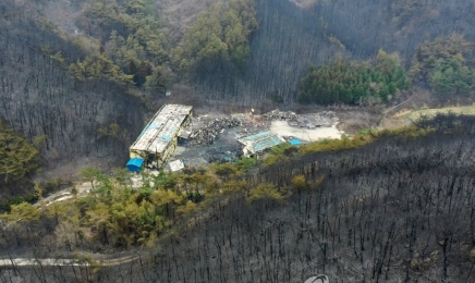 함평·순천 산불 진화…축구장 875개·625ha 산림 훼손