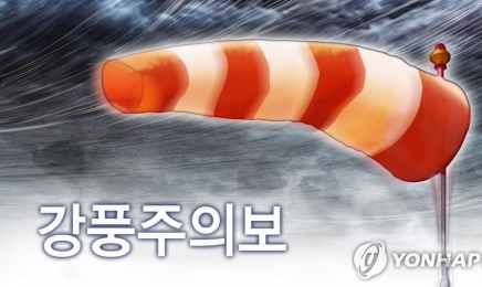 전남서해안 순간 초속 26cm 강풍…한파주의보도 발효