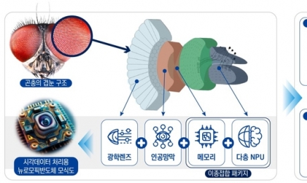 광주과학기술원, ‘곤충견눈 모방 반도체’ 연구기관 선정