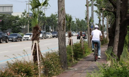 광주 광산구, 공항역~극락교 자전거 전용도로 조성